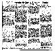 <BR>Data: 03/10/1988<BR>Fonte: Folha de São Paulo, São Paulo, p. b2, 03/10/ de 1988<BR>Endereço para citar este documento: ->www2.senado.leg.br/bdsf/item/id/119856