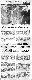 <BR>Data: 08/06/1988<BR>Fonte: O Globo, Rio de Janeiro, p. 5, 08/06/ de 1988<BR>Endereço para citar este documento: -www2.senado.leg.br/bdsf/item/id/122139->www2.senado.leg.br/bdsf/item/id/122139