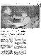 <BR>Data: 07/06/1988<BR>Fonte: Jornal do Brasil, Rio de Janeiro, p. 3, 07/06/ de 1988<BR>Endereço para citar este documento: -www2.senado.leg.br/bdsf/item/id/122069->www2.senado.leg.br/bdsf/item/id/122069