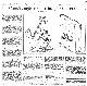 <BR>Data: 09/10/1988<BR>Fonte: Folha de São Paulo, São Paulo, p. b2, 09/10/ de 1988<BR>Endereço para citar este documento: -www2.senado.leg.br/bdsf/item/id/119613->www2.senado.leg.br/bdsf/item/id/119613