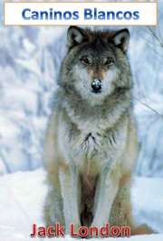   White Fang (Caninos Brancos no Brasil), é um livro do escritor norte-americano Jack London, publicado em 1910. A história segue a mesma linha de seu livro an White Fang toma o caminho contrário: aqui é mostrada a jornada de um lobo, desde o nascimento 