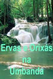 Regras básicas para o uso das Ervas: Amor e bom senso
•Bom senso = presença de espírito que temos ao saber que não devemos fazer uso de uma erva que não conhecemos. Ouvir o nosso coração.
•Amor = fé e respeito
Fé = é aquilo que acreditamos e confiamos.
Respeito = honrar