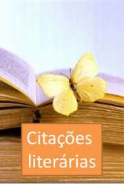   O livro Citações Literárias contém mais de 1.300 citações de mais de 600 autores, registradas de modo sequencial, sem capítulos ou subdivisões temáticas. O conteúdo encontra-se em fase contínua de expansão.