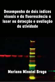   Desempenho de dois índices visuais e da fluorescência a laser na detecção e avaliação da atividade de lesões de cárie em superfícies oclusais de dentes decíd Faculdade de Odontologia / Odontopediatria