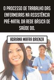   O processo de trabalho das enfermeiras na assistência pré-natal da rede básica de saúde do município de Ribeirão Preto Escola de Enfermagem de Ribeirão Preto / Enfermagem em Saúde Pública