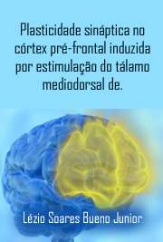   Plasticidade sináptica no córtex pré-frontal induzida por estimulação do tálamo mediodorsal de ratos in vivo: efeitos da modulação colinérgica muscarínica e Faculdade de Medicina de Ribeirão Preto / Neurologia