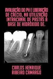   Avaliação do PH e liberação de cálcio, na utilização intracanal de pastas à base de hidróxido de cálcio, em função do tempo e de diferentes veículos: estudo Faculdade de Odontologia de Bauru / Endodontia