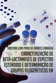   Caracterização de beta-lactamases de espectro estendido e determinação de grupos filogenéticos em isolados de Escherichia coli recuperados de pacientes em um Instituto de Ciências Biomédicas / Microbiologia