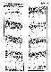 <BR>Data: 31/05/1985<BR>Fonte: Jornal do Brasil, Rio de Janeiro, p. 2, 31/05/ de 1985<BR>Endereço para citar este documento: -www2.senado.leg.br/bdsf/item/id/110883->www2.senado.leg.br/bdsf/item/id/110883