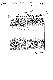 <BR>Data: 07/07/1986<BR>Fonte: Folha de São Paulo, São Paulo, p. 2, 07/07/ de 1986<BR>Endereço para citar este documento: ->www2.senado.leg.br/bdsf/item/id/114919