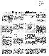 <BR>Data: 14/04/1987<BR>Fonte: Correio Braziliense, Brasília, nº 8769, p. 4, 14/04/ de 1987<BR>Endereço para citar este documento: -www2.senado.leg.br/bdsf/item/id/114340->www2.senado.leg.br/bdsf/item/id/114340