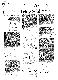 <BR>Data: 11/02/1987<BR>Fonte: Jornal do Brasil, Rio de Janeiro, p. 11, 11/02/ de 1987<BR>Endereço para citar este documento: -www2.senado.leg.br/bdsf/item/id/114616->www2.senado.leg.br/bdsf/item/id/114616