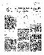 <BR>Data: 11/02/1987<BR>Fonte: Folha de São Paulo, São Paulo, p. a6, 11/02/ de 1987<BR>Endereço para citar este documento: -www2.senado.leg.br/bdsf/item/id/116279->www2.senado.leg.br/bdsf/item/id/116279