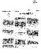 <BR>Data: 20/02/1987<BR>Fonte: Jornal do Brasil, Rio de Janeiro, p. 11, 20/02/ de 1987<BR>Endereço para citar este documento: -www2.senado.leg.br/bdsf/item/id/116210->www2.senado.leg.br/bdsf/item/id/116210