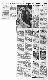 <BR>Data: 01/05/1988<BR>Fonte: Jornal do Brasil, Rio de Janeiro, p. d14, 01/05/ de 1988<BR>Endereço para citar este documento: -www2.senado.leg.br/bdsf/item/id/107761->www2.senado.leg.br/bdsf/item/id/107761