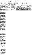 <BR>Data: 12/04/1988<BR>Fonte: Folha de São Paulo, São Paulo, p. a7, 12/04/ de 1988<BR>Endereço para citar este documento: ->www2.senado.leg.br/bdsf/item/id/108067