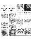 <BR>Data: 24/04/1988<BR>Fonte: Jornal do Brasil, Rio de Janeiro, p. 4, 24/04/ de 1988<BR>Endereço para citar este documento: -www2.senado.leg.br/bdsf/item/id/107605->www2.senado.leg.br/bdsf/item/id/107605