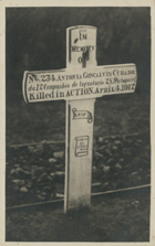 In memory of Antónia Gonçalves Curado, da 12 Companhia de Infantaria 28 (Portuguese) : killed in action April. 4.1917 : [Guerra 1914 -1918]. - [S.l. : s.n, 1917-18]. - 1 postal : p&b ; 14x9 cm