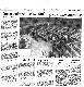 <BR>Data: 29/03/1988<BR>Fonte: Jornal do Brasil, Rio de Janeiro, p. 2, 29/03/ de 1988<BR>Endereço para citar este documento: ->www2.senado.leg.br/bdsf/item/id/123017