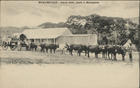 Moçambique - carro boer, junto a Macequece. - Lisboa : F. A. Martins, [ca 1902]. - 1 postal : p&b ; 9x14 cm