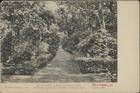 Macau, rua do jardim da gruta de Camões (1872) / cliché de A. Fong. - [Macau : s.n., ca 1916]. - 1 postal : p&b ; 9,5x14 cm. - (Colonial Marques Pereira e Pires Marinho. colonias portuguesas ; 6)