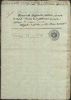 Documentos Orijinales relativos al Estado de Salud Mental de Dn Manuel Concesion Ardisson, otorgados en Lisboa, en 27 Março 1829 1828. - [ I-2 ][3], [5] ,[2] , f.  ; 31 cm