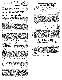 <BR>Data: 13/08/1987<BR>Fonte: Jornal do Brasil, Rio de Janeiro, p. 2, 13/08/ de 1987<BR>Endereço para citar este documento: -www2.senado.leg.br/bdsf/item/id/127762->www2.senado.leg.br/bdsf/item/id/127762