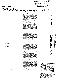 <BR>Data: 14/06/1985<BR>Fonte: Jornal do Brasil, Rio de Janeiro, p. d17, 14/06/ de 1985<BR>Endereço para citar este documento: -www2.senado.leg.br/bdsf/item/id/110647->www2.senado.leg.br/bdsf/item/id/110647