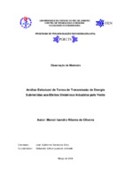 Torres de Transmissão de Energia, Efeitos Aerodinâmicos, Carregamentos do Vento, Estruturas de Aço, Modelagem Computacional e Modelagem Não Determinística