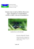 “scramble competition”, dimorfismo sexual, conflitos agonísticos, assimetria, guarda pós-cópula