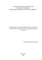 vírus da cinomose; vírus parainfluenza canino; cães; felinos silvestres; soroneutralização; prevalência