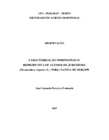 Agroecossistemas, decritores morfológicos, variabilidade genética