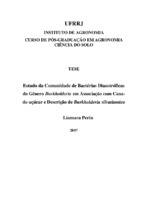 Fixação Biológica de Nitrogênio. Poacea. Caracterização de bactérias