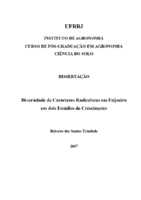 Phaseolus vulgaris. Fósforo. Sistema radicular. Nutrição Mineral de Plantas