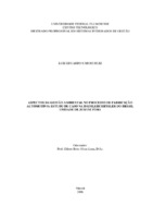 Desenvolvimento Sustentável; Recicláveis; Resíduos; Comprometimento Ambiental; Indústria Automobilística.