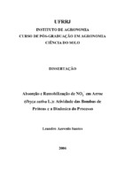 Absorção de nitrato, remobilização de nitrato, bombas de prótons.