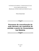 História. Professorando. Formação. Ação. Conceituação. Sentido.