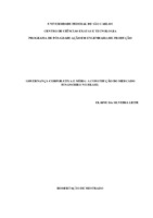 Governança Corporativa. Mídia. Mercado Financeiro. Sociologia Econômica.