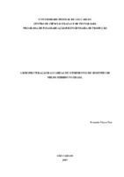 Gestão da cadeia de suprimentos. Estrutura. Processadora de sementes.