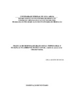 Responsabilidade Social; Responsabilidade Social Empresarial; Novo Institucionalismo; Setor Citrícola.