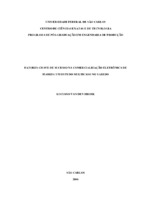 Fatores-chave de sucesso. Objetivos de desempenho. Comércio eletrônico. Varejo eletrônico. Canais de distribuição. Flores. Marketing-mix.