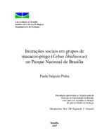 Cebus libidinosus; Cebus; macaco-prego; primata; Parque Nacional de Brasília; comportamento social.