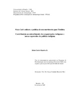 movimentos indígenas; indigenismo; tranformações culturais; desenvolvimento sustentável; modernização da indianidade; indigenização da modernidade.