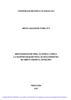 1. Pessoa jurídica. 2. Responsabilidade penal. 3. Crimes ambientais. 4. Responsabilidades dos dirigentes