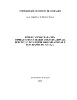 bem-estar no trabalho; valores organizacionais, percepção de suporte organizacional, percepção de justiça distributiva, percepção de justiça de procedimentos, promoção da saúde.