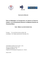 Vibrações, Passarelas, Análise Dinâmica, Estruturas de Aço e Mistas, Conforto Humano, Impacto do Calcanhar Humano, Amortecimento Estrutural, Modelagem Computacional