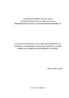 Estratégia Tecnológica. Capacidades Tecnológicas. Gestão da Cadeia de Suprimentos. Economia de Custos de Transação. Indústria Automobilística.