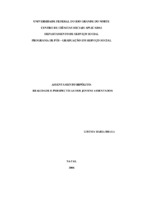 Jovem assentado. Assentamentos Rurais. Participação. Políticas Públicas