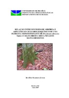 biodiversidade, funções do ecossistema, nutrientes, toxidade de Mn, Amazônia, cerrado, decomposição, produção de serapilheira, efeito não aditivo