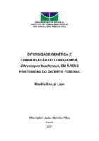 lobo-guará, microssatélites, amostragem não-invasiva, endogamia, estruturação genética